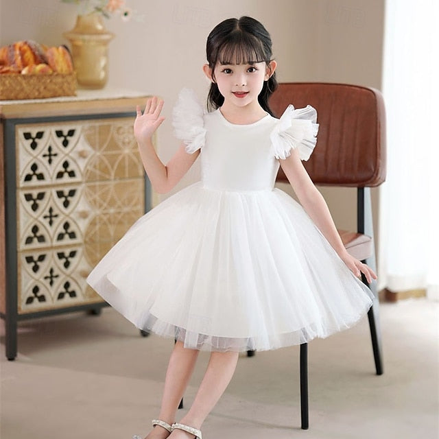 Flower Girls' Kid's Girl Princess Dress FashionChic