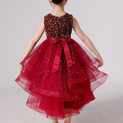 Girl Dress Girls' Party Flower Princess FashionChic