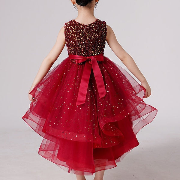 Girl Dress Girls' Party Flower Princess FashionChic