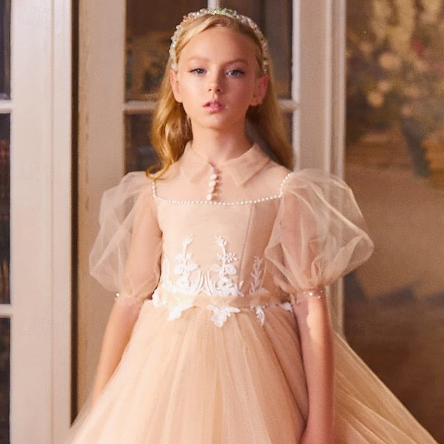 Gown Girls' Flower Party Dress Girl Princess Evening FashionChic