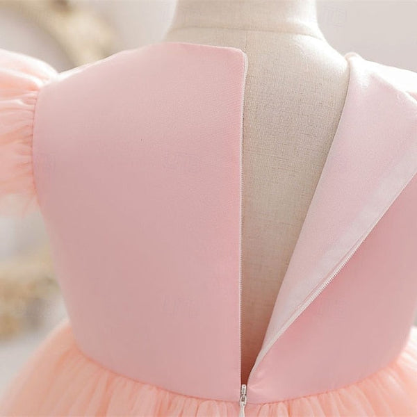 Dress Princess Girl Kid's Flower Girls' FashionChic