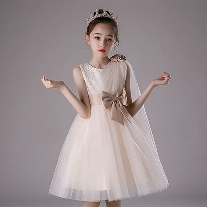 Princess Kid's Girl Flower Girls' Dress FashionChic