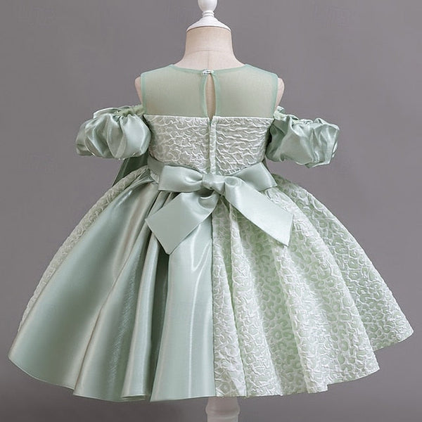 Dress Girls' Girl Wedding Formal Party Flower FashionChic