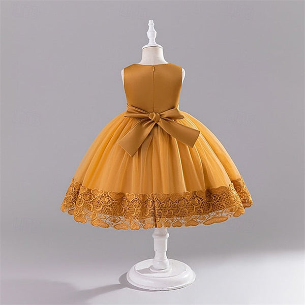 Dress Kid's Girls' Girl Flower Princess FashionChic