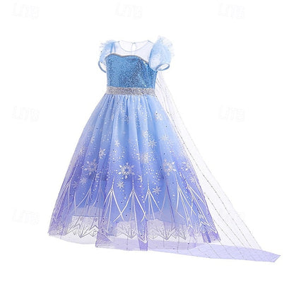 Theme Princess Party Elsa Girl Fairytale Flower Frozen Dress FashionChic