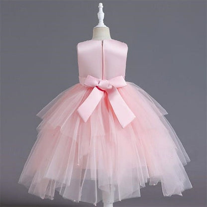 Kid's Girls' Dress Flower Girl Princess FashionChic