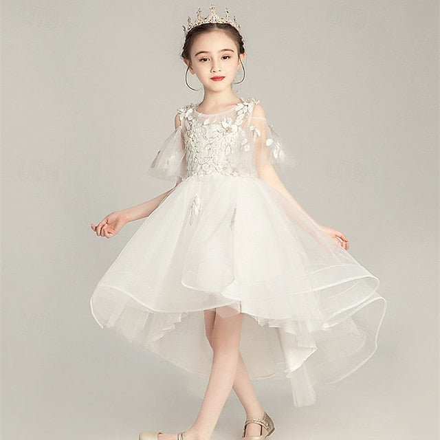 Girl Girls' Kid's Flower Princess Dress FashionChic