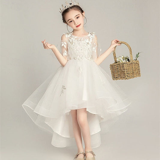 Girl Girls' Kid's Flower Princess Dress FashionChic