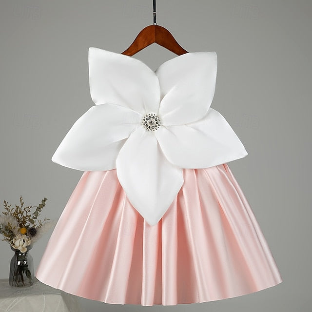 Princess Girl Flower Girls' Kid's Dress FashionChic