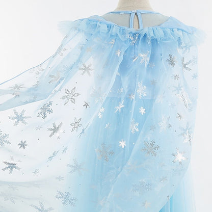 Party Theme Flower Frozen Elsa Dress Girl Princess Fairytale FashionChic