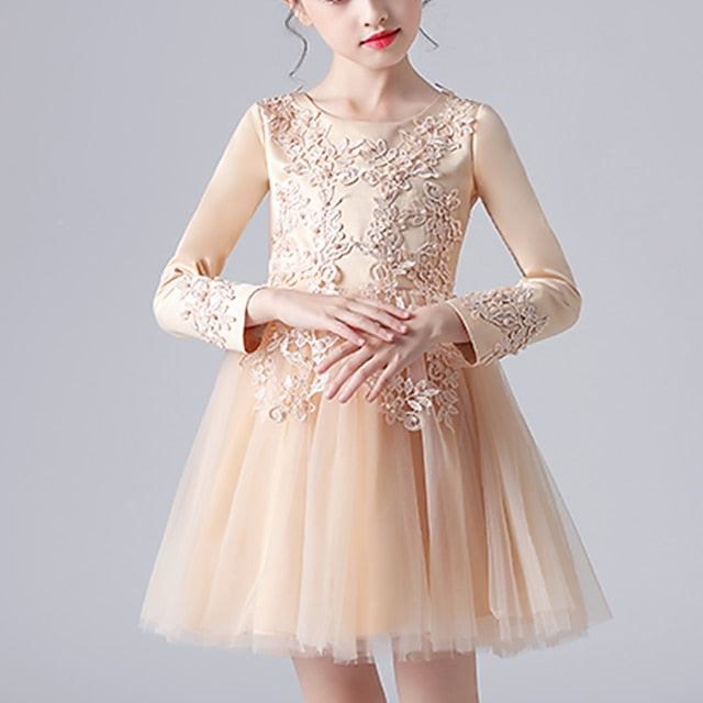 Girl Princess Flower Girls' Dress Party FashionChic