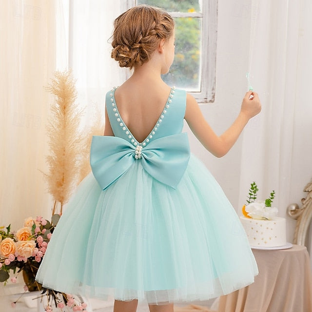 Flower Dress Girls' Kid's Girl Princess FashionChic
