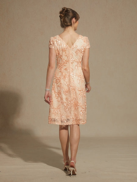 Women's Mini Dress A Line Dress Elegant Daily Wedding Guest