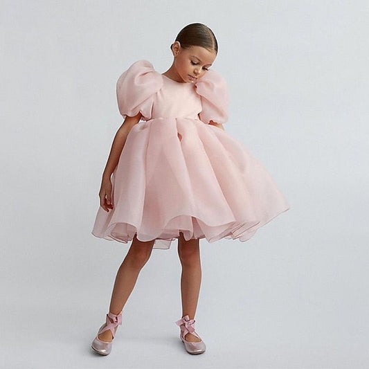 Girl Dress Party Solid Girls' Kids Flower Color FashionChic