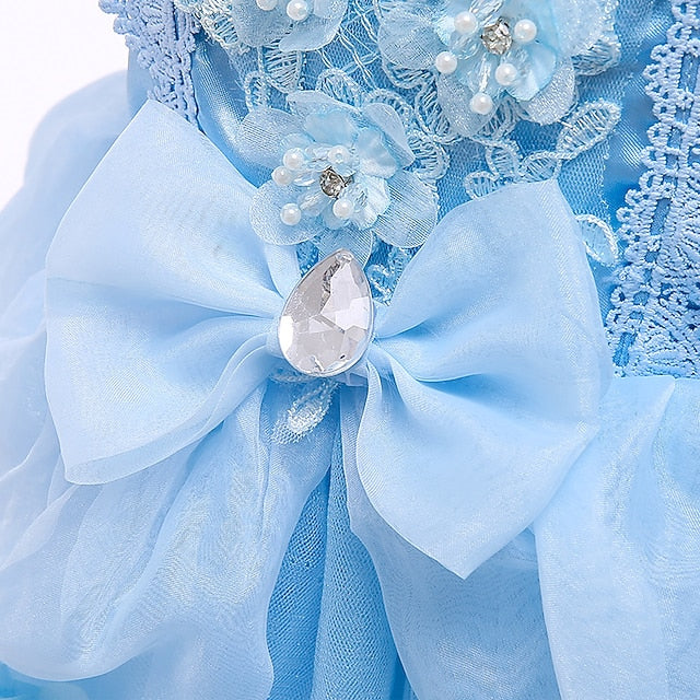 Dress Movie Princess Cinderella Girl Girls' Flower FashionChic