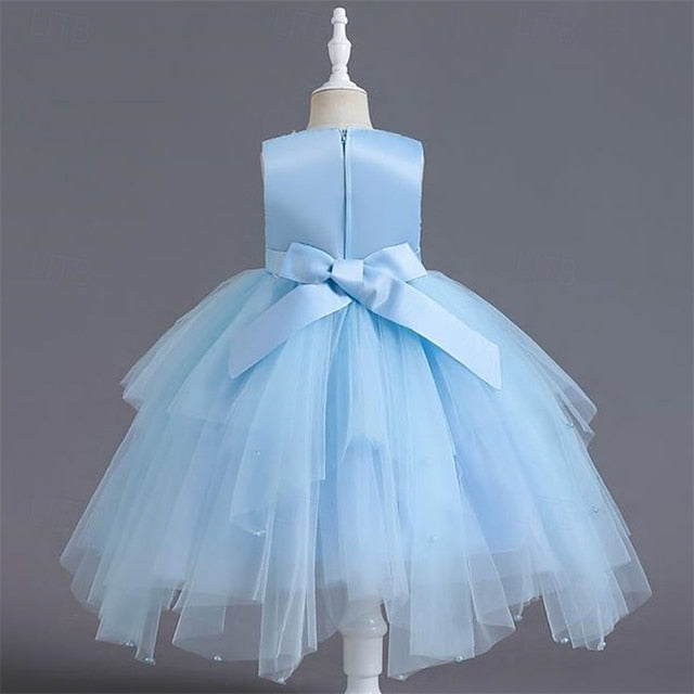 Kid's Girls' Dress Flower Girl Princess FashionChic