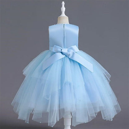 Kid's Girls' Dress Flower Girl Princess FashionChic