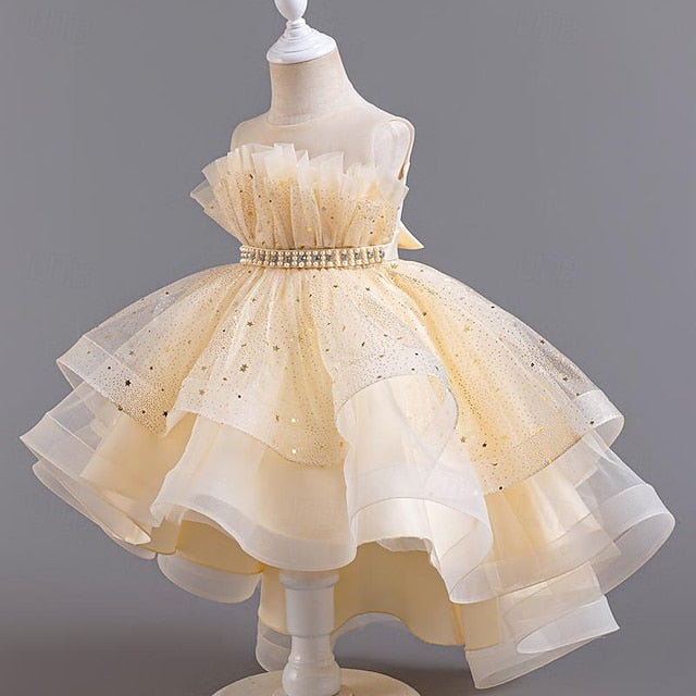Sleeveless Dress Girls' Party Kids Girl Sequin Flower FashionChic