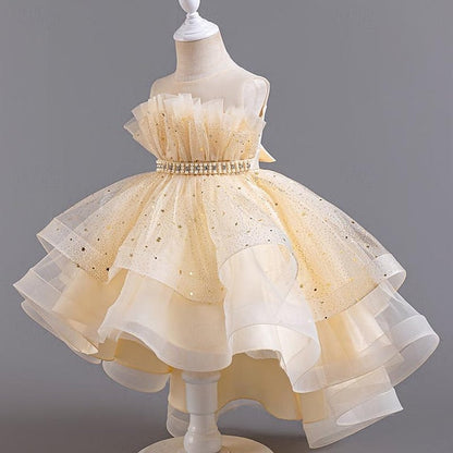 Sleeveless Dress Girls' Party Kids Girl Sequin Flower FashionChic