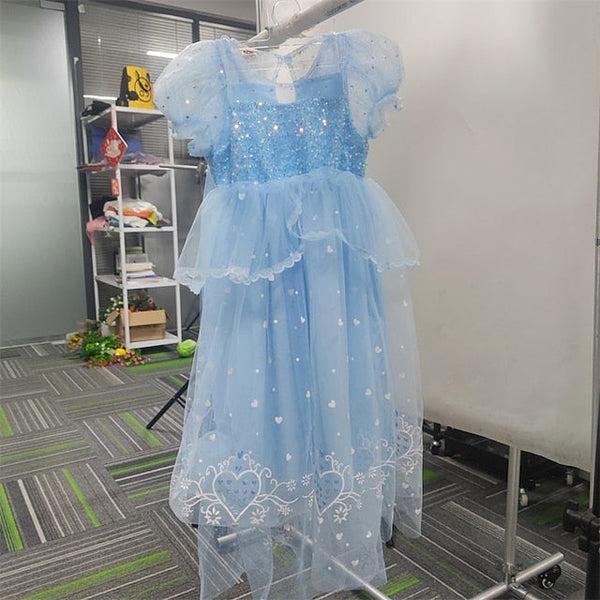 Princess Flower Elsa Cosplay Cloak Girl Frozen Dress FashionChic