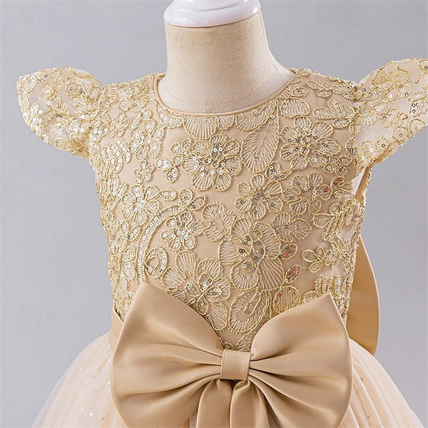 Dress Flower Princess Girls' Girl Kid's FashionChic