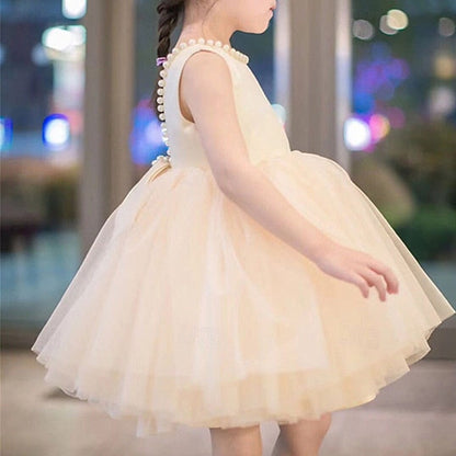 Dress Kid's Flower Girl Girls' Princess FashionChic