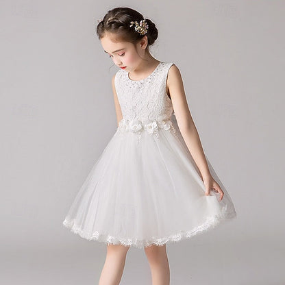 Princess Girl Girls' Kid's Flower Dress FashionChic