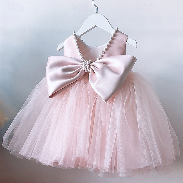 Flower Dress Girls' Kid's Girl Princess FashionChic