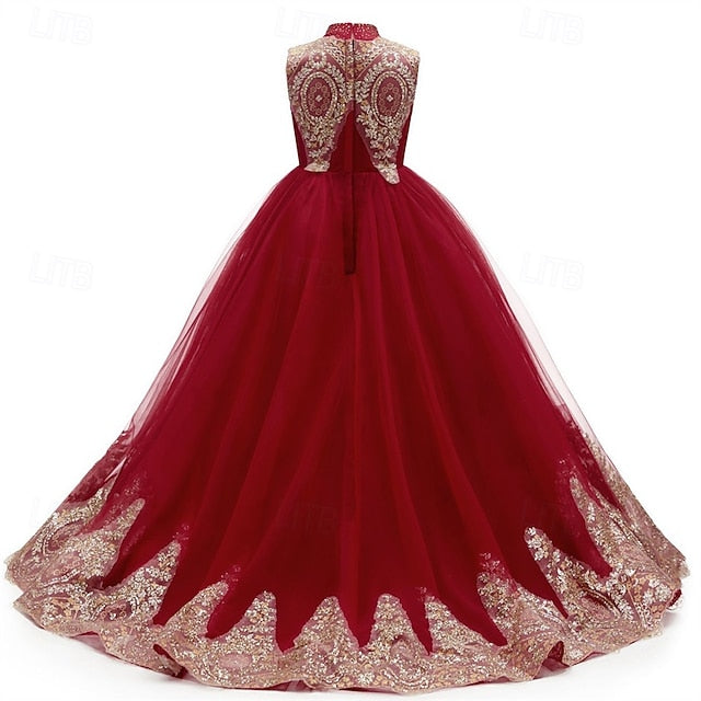 Flower Girls' Girl Kid's Evening Gown Dress Formal FashionChic