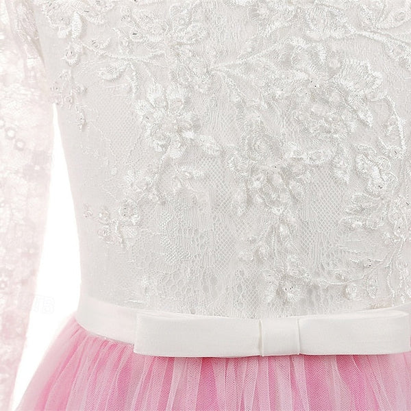 Dress Girls' Kid's Girl Flower Princess FashionChic