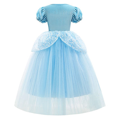 Fairytale Girl Party Theme Cinderella Flower Dress Princess FashionChic