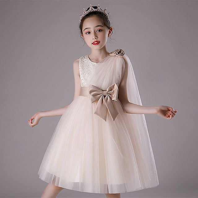 Princess Kid's Girl Flower Girls' Dress FashionChic