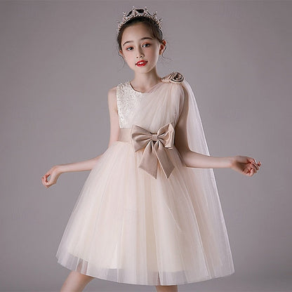 Princess Kid's Girl Flower Girls' Dress FashionChic