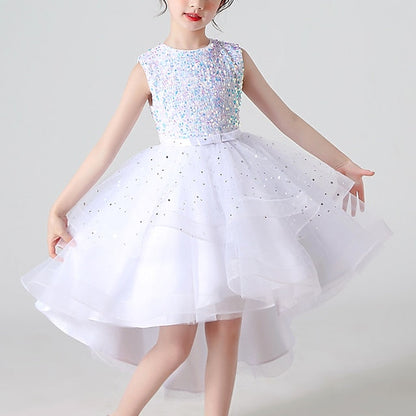 Girl Dress Girls' Party Flower Princess FashionChic