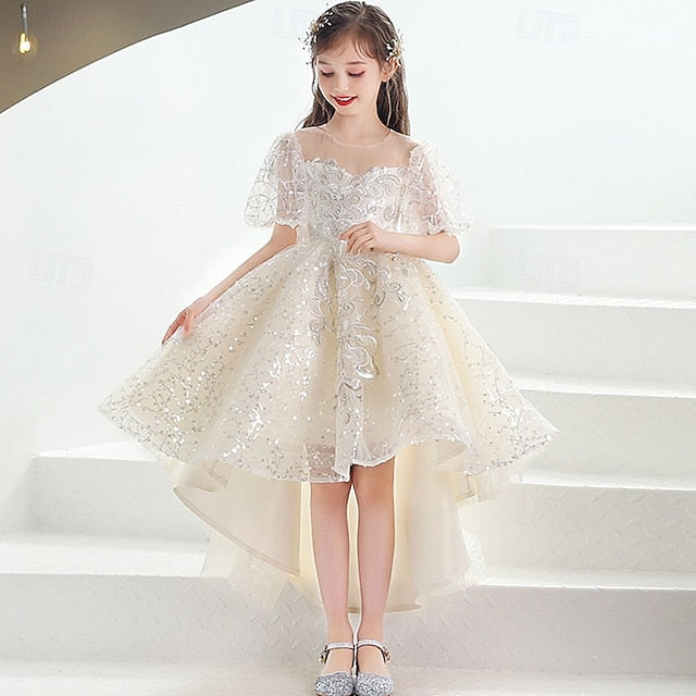 Flower Girl Kid's Girls' Princess Dress FashionChic
