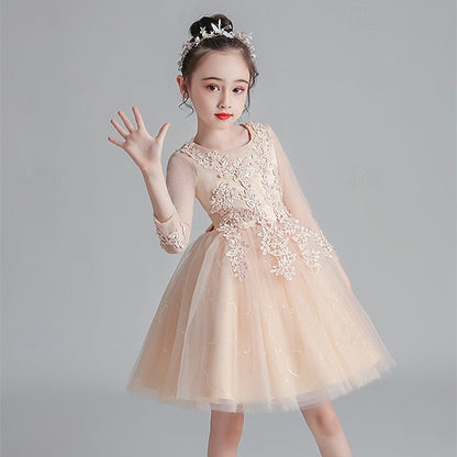 Dress Girls' Girl Princess Flower Kid's FashionChic