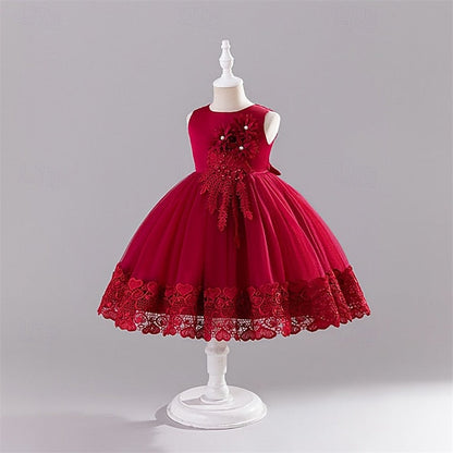 Dress Kid's Girls' Girl Flower Princess FashionChic