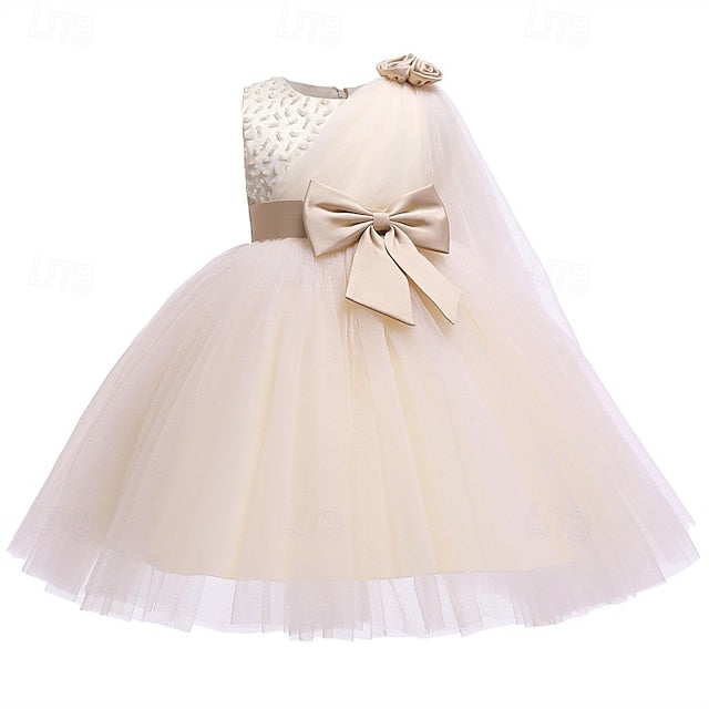 Princess Kid's Girl Flower Girls' Dress FashionChic