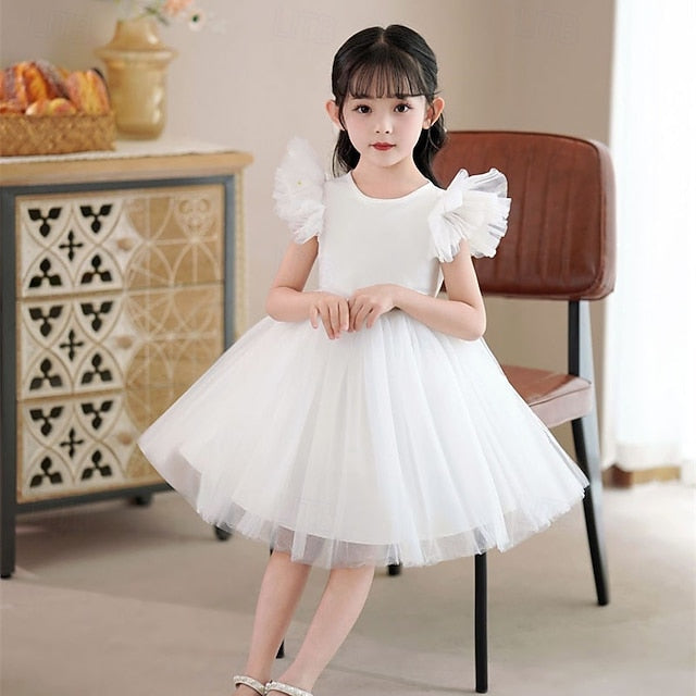 Flower Girls' Kid's Girl Princess Dress FashionChic