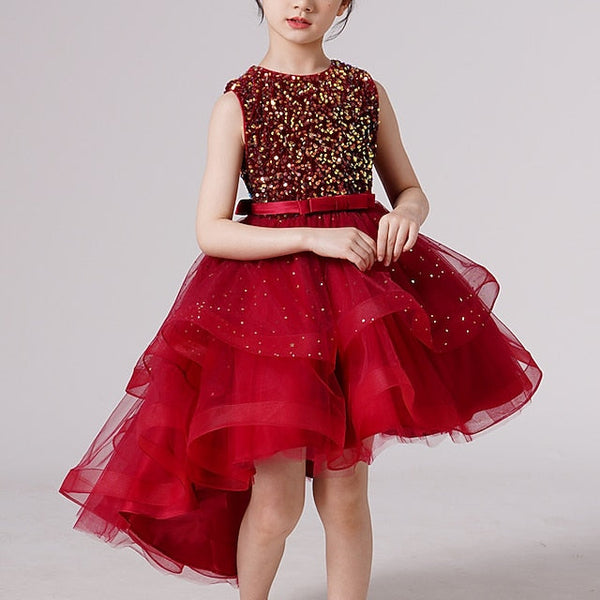 Girl Dress Girls' Party Flower Princess FashionChic