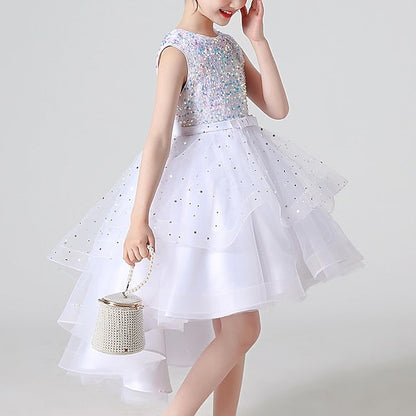 Girl Dress Girls' Party Flower Princess FashionChic