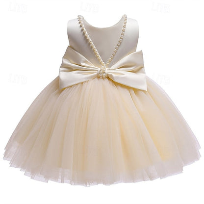 Dress Kid's Flower Girl Girls' Princess FashionChic