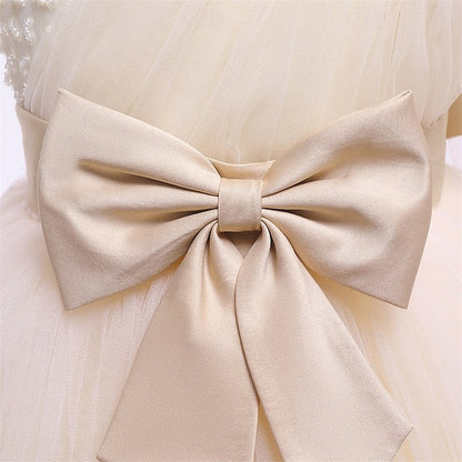 Princess Kid's Girl Flower Girls' Dress FashionChic