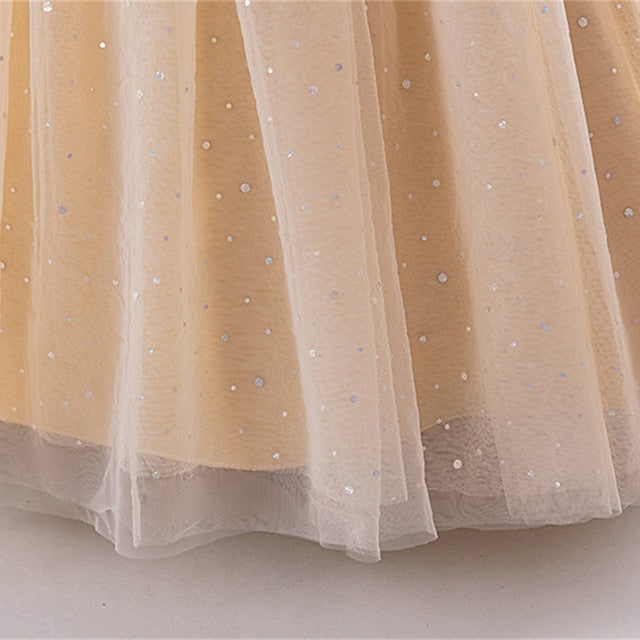 Dress Flower Princess Girls' Girl Kid's FashionChic