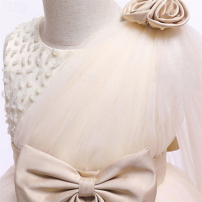 Princess Kid's Girl Flower Girls' Dress FashionChic