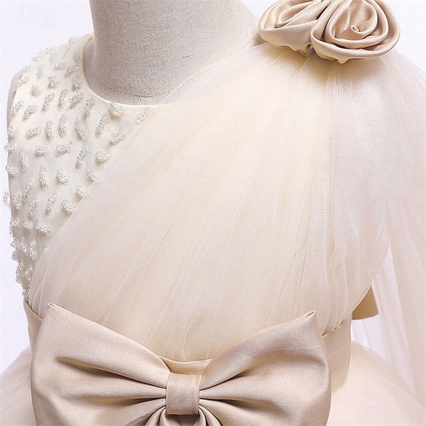 Kid's Dress Girl Princess Girls' Flower FashionChic