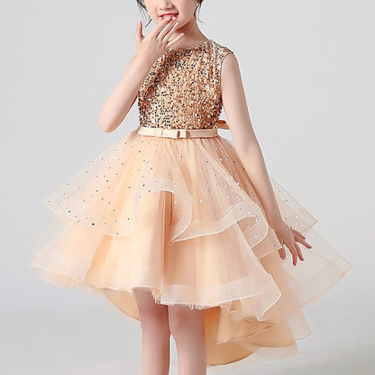Girl Dress Girls' Party Flower Princess FashionChic
