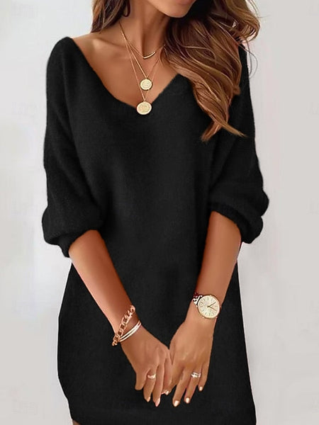 Women's Mini Dress Casual Dress Winter Dress Shift Dress FashionChic