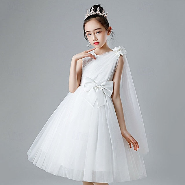 Princess Kid's Girl Flower Girls' Dress FashionChic