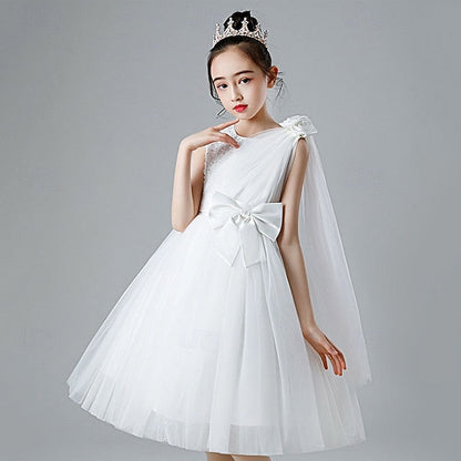Princess Kid's Girl Flower Girls' Dress FashionChic